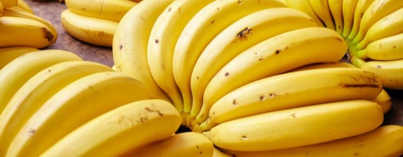 I gatti possono mangiare banane?