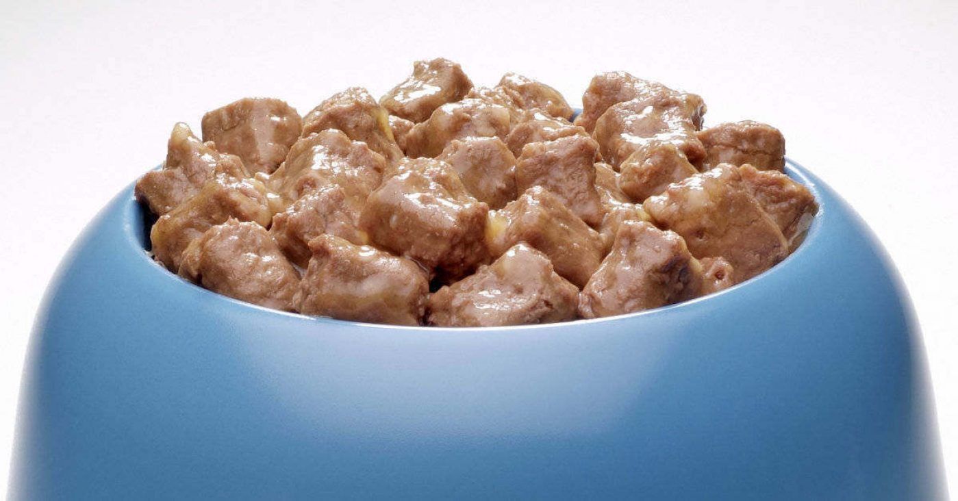 alimentacion humeda