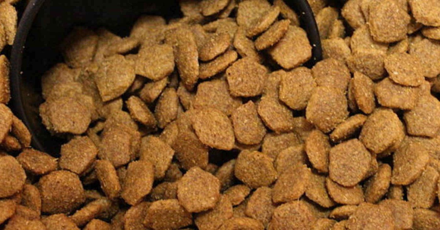 comida seca perro