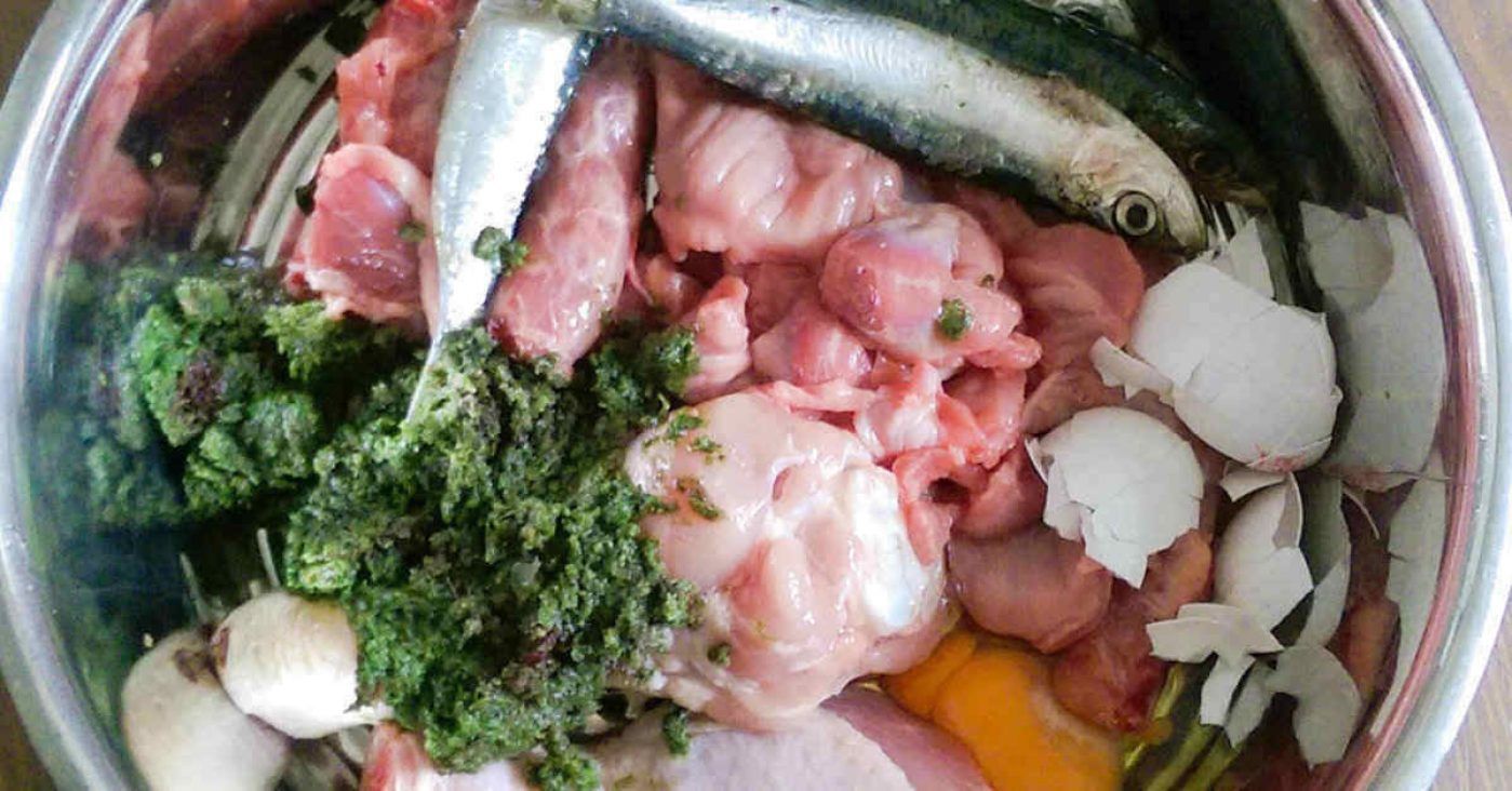 dieta barf para perros