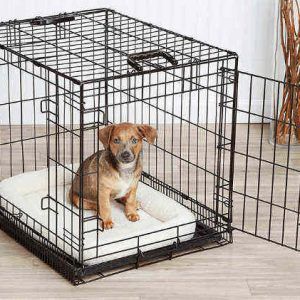 Las mejores jaulas para perros 2020 🥇 8 Mejores jaulas metálicas para perros