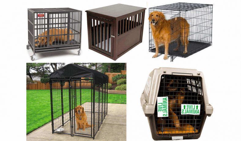 Mejores jaulas para perros