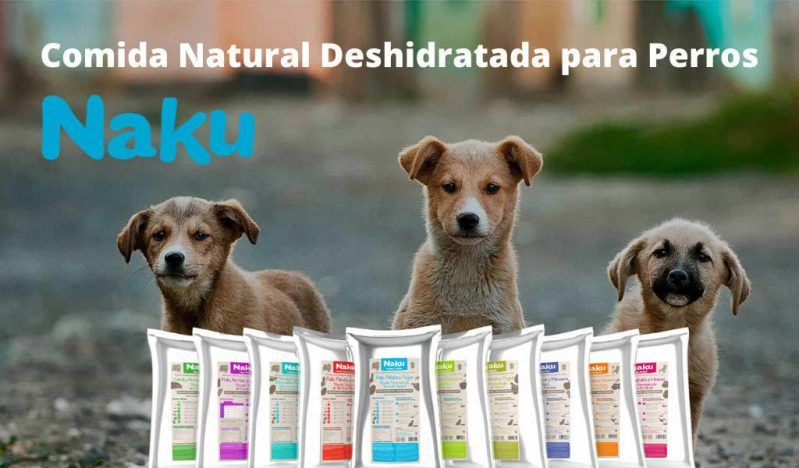 Comida natural para perros, todo lo que NO sabes 2 comida natural para perros